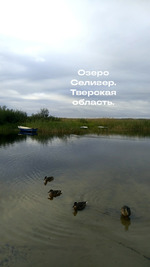 Озеро Селигер. Отдых в деревне Кравотынь.