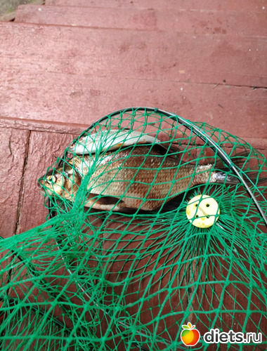 15 фото: Озеро Селигер