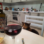 � � ��� ��� ����!!!.. ���))) 2 �������. ������ � �������������/ ������ � ������!!!/