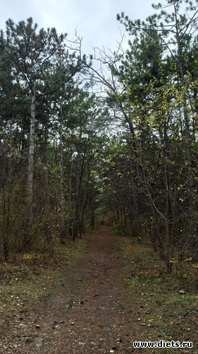 141 фото: 2023 Походы+