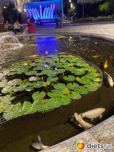  .  .  .   , :  2023. 8  2023.  9.12.23