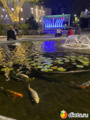  .  .  .   , :  2023. 8  2023.  9.12.23