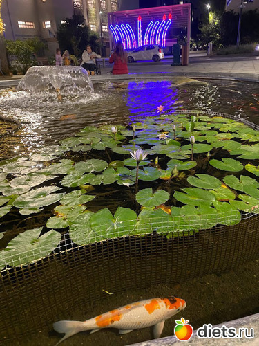 Площадь Ордеа. Улица Бялик. Рамат Ган. На фоне Ханукии, альбом: Ханука 2023. 8 декабря 2023. Завтрак 9.12.23