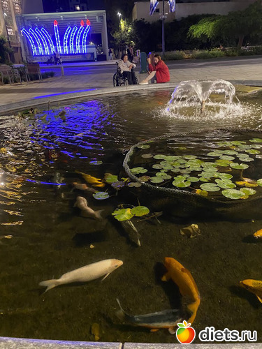  .  .  .   , :  2023. 8  2023.  9.12.23