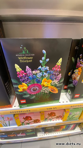 23 фото: 11-12-13 декабря 2023