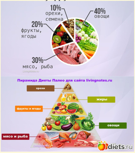 5 фото: Диеты