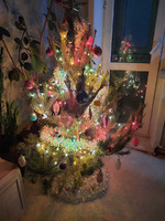 ����� �����