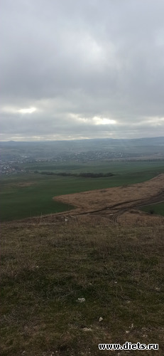 3 ����: 2023 ������+