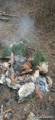 12 фото: 2023 Походы+