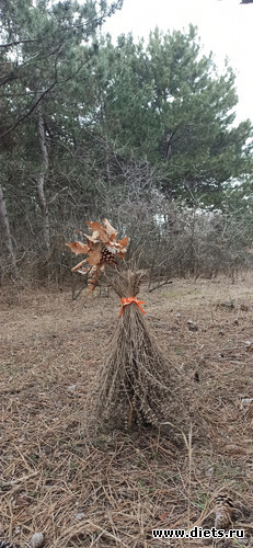 13 фото: 2023 Походы+