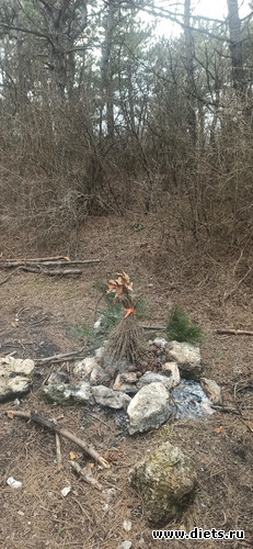 14 фото: 2023 Походы+