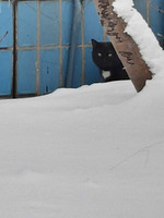 �����-�� ������ �������� �����...������ ����/ �����-�� ���� ��������� �����...������ ��� �����/ �����-�� ������� ��� ������...�� ����� � �����