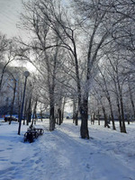 ������������ � ����������� �� �������/ ������ ���� ������ � ������ ����������