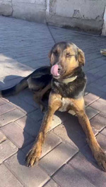 ��������� ����� ��� ������?