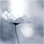 Пока ты жив.