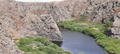 дракоша пьёт водичку
