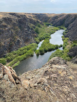 ���� ���������� �����