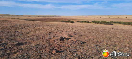 иду к нему поближе, ждёт))), альбом: Вячеславка/СарыОба/июль 2023