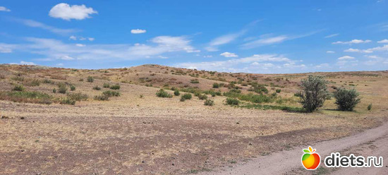 и дороги, дороги..., альбом: Вячеславка/СарыОба/июль 2023