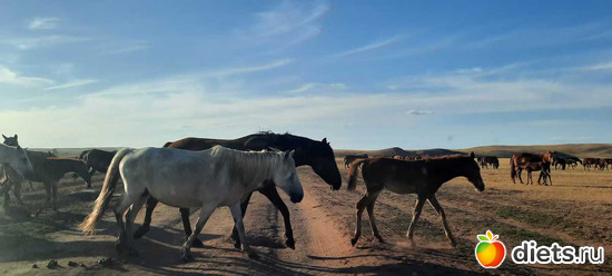 18 фото: Вячеславка/СарыОба/июль 2023