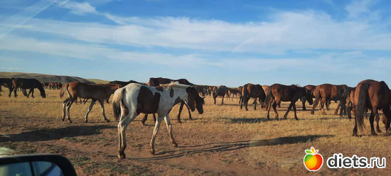 19 фото: Вячеславка/СарыОба/июль 2023