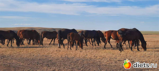 20 фото: Вячеславка/СарыОба/июль 2023