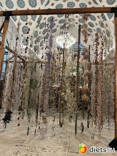 50 фото: Botanical garden, Alabama