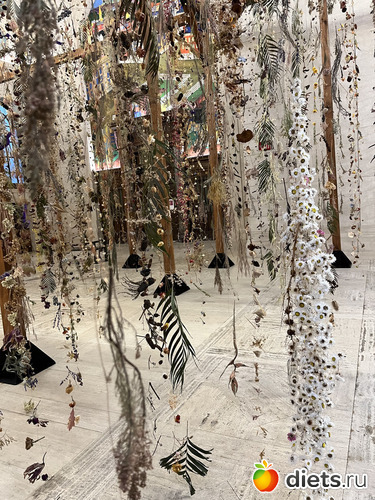 51 фото: Botanical garden, Alabama