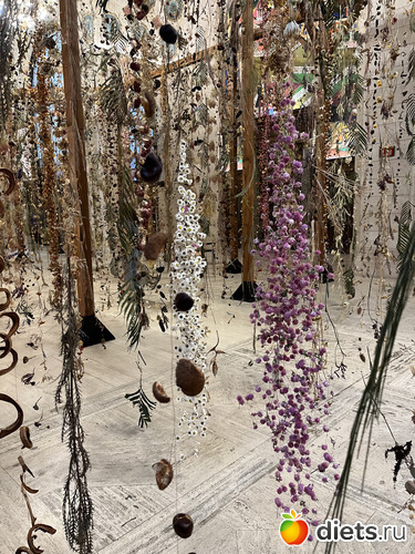 52 : Botanical garden, Alabama