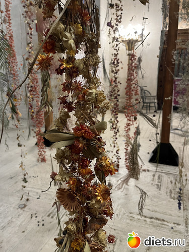 53 : Botanical garden, Alabama