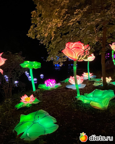 5 фото: Азиатские шарики