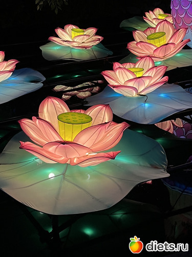 13 фото: Азиатские шарики