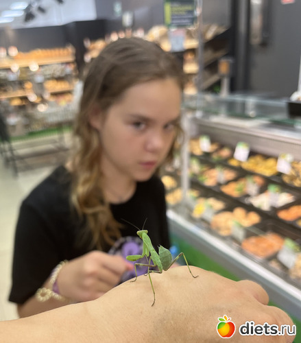 Бой с богомолом, альбом: Крым. Феодосия. 2023 года