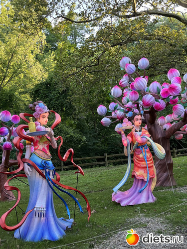 20 фото: Азиатские шарики