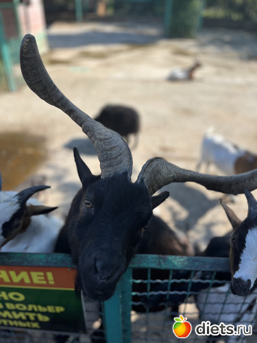 39 фото: Крым. Феодосия. 2023 года