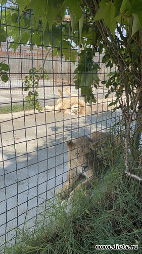 40 фото: Крым. Феодосия. 2023 года