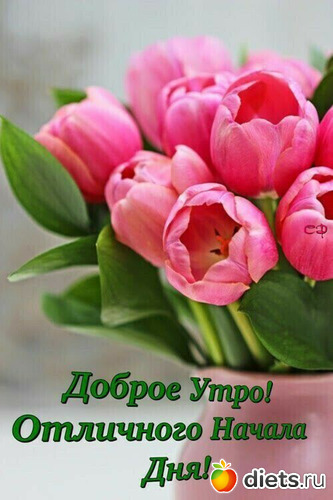 17 фото: Лето 2023