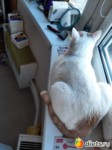 23 фото: Лето 2023