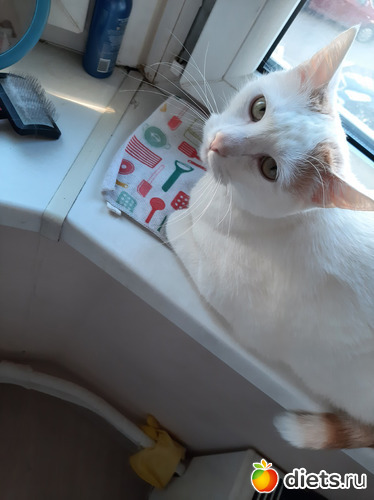 25 фото: Лето 2023