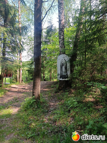 Возле скита в лесу 1, альбом: Путь в Лавру. День 7. 23г