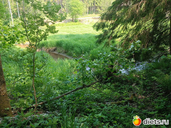 Речка Сумерь, альбом: Путь в Лавру. День 7. 23г