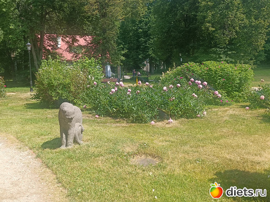 Каменная пума, альбом: Путь в Лавру. День 8. 23г