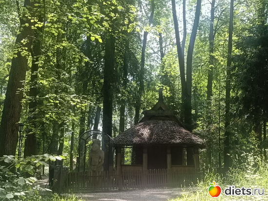 Избушка на курьих ножках, альбом: Путь в Лавру. День 8. 23г