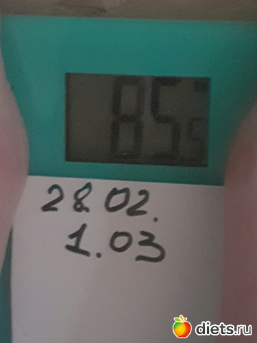 5 фото: Кошки