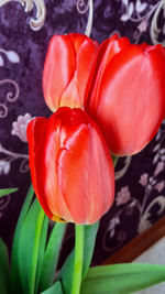 ��� ���� � ������� �������� ����� ������/ ��������