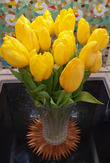 Тюльпаны-сухоцветы и Дела весенние: сеем-сажаем, на снегу загораем!