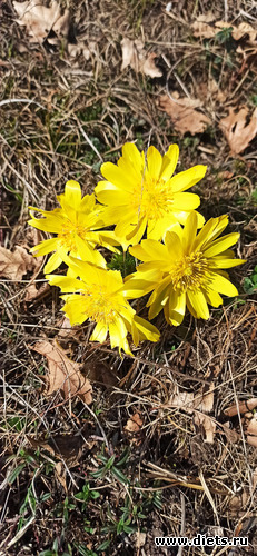 21 фото: 2023 Походы+