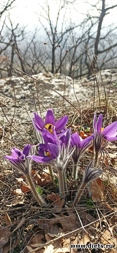 22 ����: 2023 ������+