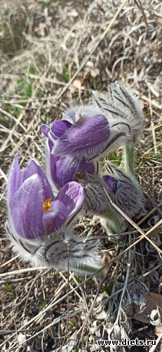 23 фото: 2023 Походы+