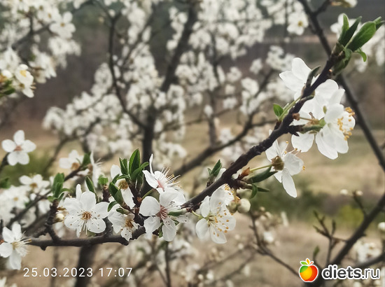 30 фото: 2023 Походы+